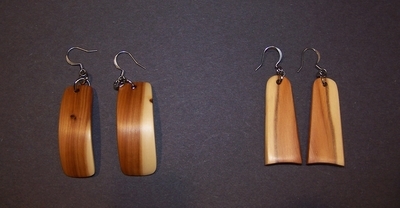 Earrings 17 and 18