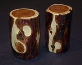 Salt and Pepper shaker exposed bark 1