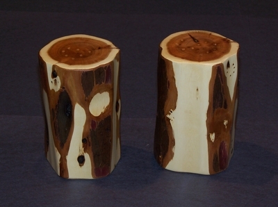 Salt and Pepper shaker exposed bark 2