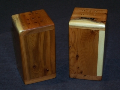 Salt and Pepper shaker solid block 2